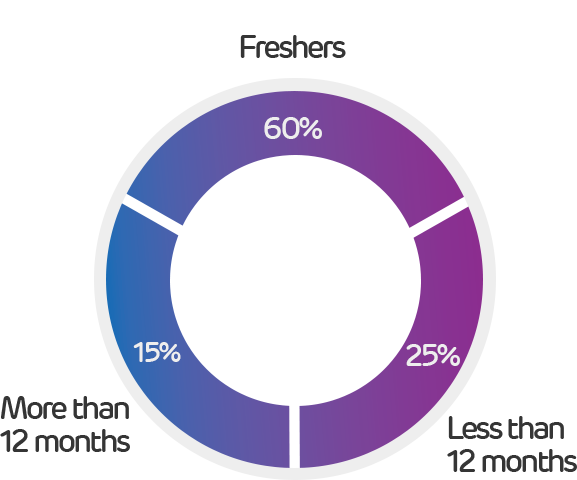 Work Experience Distribution
